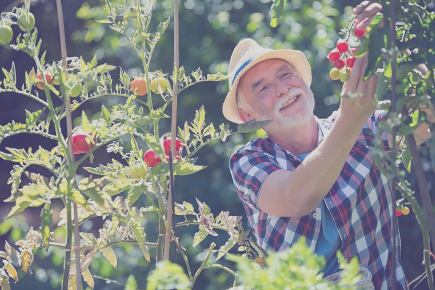 Professional elderly and disabled support mentorship environment